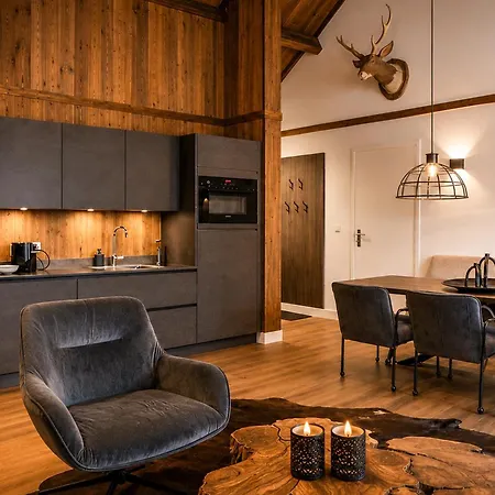 Apartment Stylish Loft With Mountain View Near The Afritz