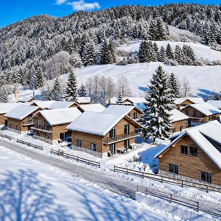 Apartment Stylish Loft With Mountain View Near The