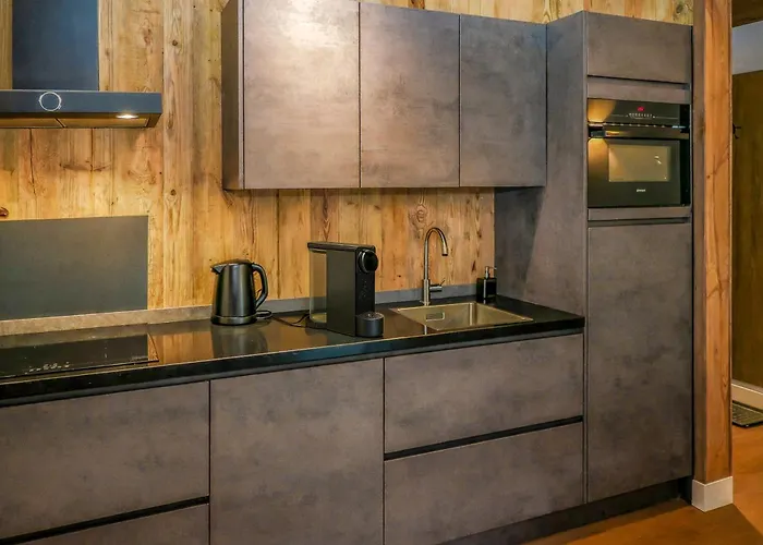 Stylish Loft With Mountain View Near The Apartment